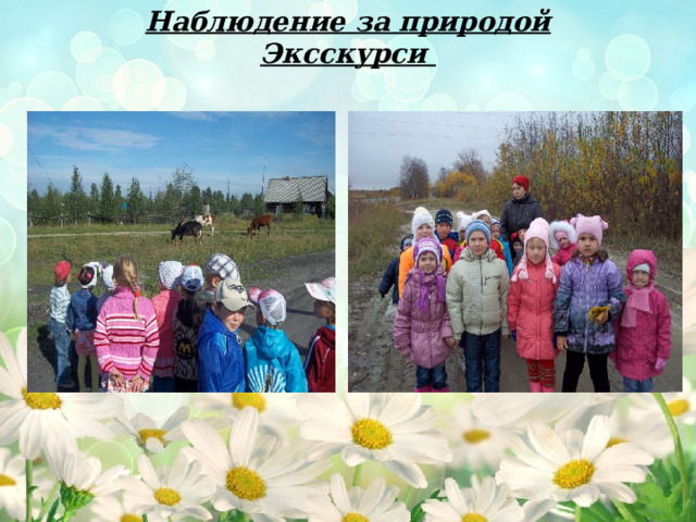 Наблюдение за природой Эксскурси 