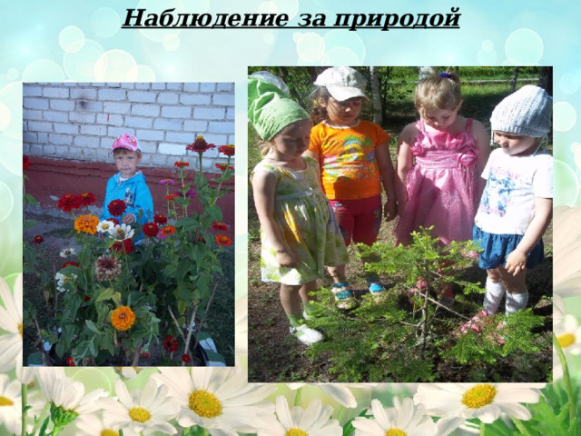 Наблюдение за природой 