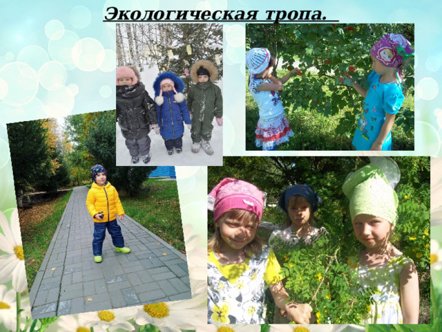Экологическая тропа. 