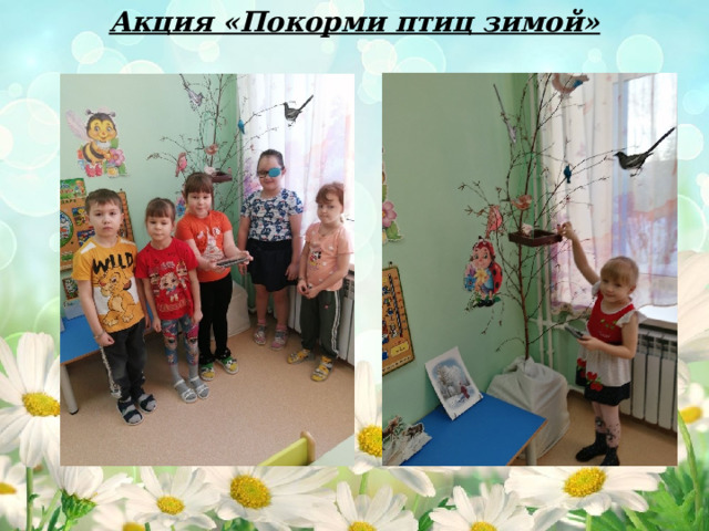 Акция «Покорми птиц зимой» 