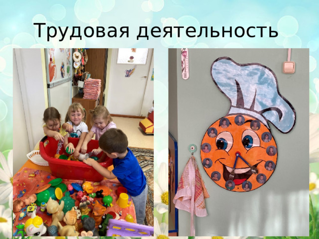 Трудовая деятельность 