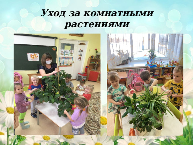Уход за комнатными растениями 