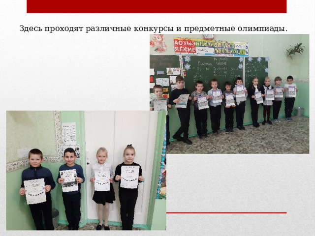 Здесь проходят различные конкурсы и предметные олимпиады. 
