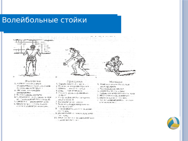 Волейбольные стойки Волейбольные стойки 