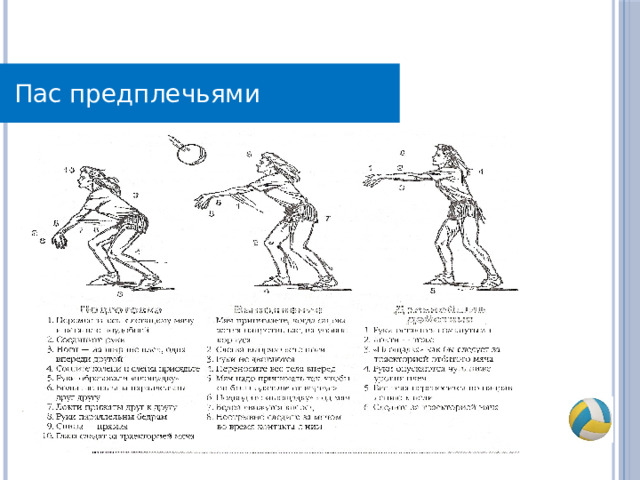 Пас предплечьями 