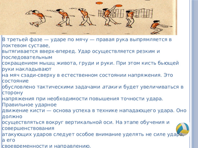 В третьей фазе — ударе по мячу — правая рука выпрям­ляется в локтевом суставе, вытягивается вверх-вперед. Удар осуществляется резким и последовательным сокращением мышц живота, груди и руки. При этом кисть бьющей руки накладывают на мяч сзади-сверху в естественном состоянии напряжения. Это состояние обусловлено тактическими задачами атаки и будет увеличиваться в сторону напряжения при необходимости повышения точности удара. Правильное ударное движение кисти — основа успеха в технике нападающего удара. Оно должно осуществляться вокруг вертикальной оси. На этапе обучения и совершенствования атакующих ударов следует особое внимание уделять не силе удара, а его своевременности и направлению. В четвертой фазе — приземлении — игрок приземляется на согнутые ноги, что предохраняет опорно-двигательный аппарат от травм и позволяет сразу перейти к последующим действиям. 