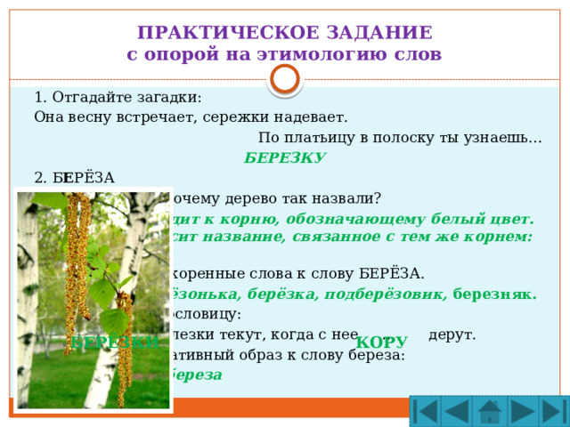 ПРАКТИЧЕСКОЕ ЗАДАНИЕ  с опорой на этимологию слов  1. Отгадайте загадки:  Она весну встречает, сережки надевает. По платьицу в полоску ты узнаешь… БЕРЕЗКУ  2. Б Е РЁЗА  Как вы думаете, почему дерево так назвали?  Это слово восходит к корню, обозначающему белый цвет. Кора берёзы носит название, связанное с тем же корнем: береста.  3. Подберем однокоренные слова к слову БЕРЁЗА.  Берёзовый, берёзонька, берёзка, подберёзовик, березняк.  4. Восстановим пословицу:  И у … слезки текут, когда с нее … дерут.  5. Найдем ассоциативный образ к слову береза:  Бе реза – бе лая береза  БЕРЁЗКИ КОРУ 