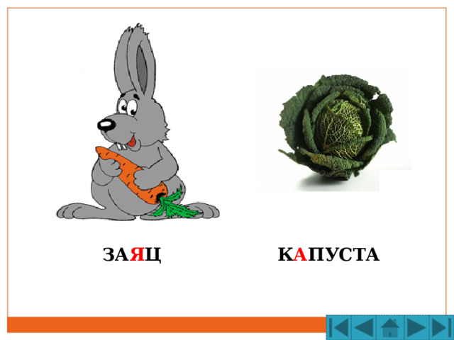 ЗА Я Ц К А ПУСТА 