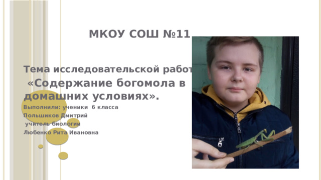 МКОУ СОШ №11    Тема исследовательской работы:  «Содержание богомола в домашних условиях». Выполнили: ученики 6 класса Польшиков Дмитрий  учитель биологии Любенко Рита Ивановна  