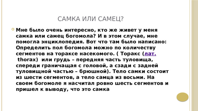САМКА ИЛИ САМЕЦ? Мне было очень интересно, кто же живет у меня самка или самец богомола? И в этом случае, мне помогла энциклопедия. Вот что там было написано: Определить пол богомола можно по количеству сегментов на тораксе насекомого. ( Торакс ( лат.  thorax)  или грудь – передняя часть туловища, спереди граничащая с головой, а сзади с задней туловищной частью – брюшной). Тело самки состоит из шести сегментов, а тело самца из восьми. На своем богомоле я насчитал ровно шесть сегментов и пришел к выводу, что это самка 