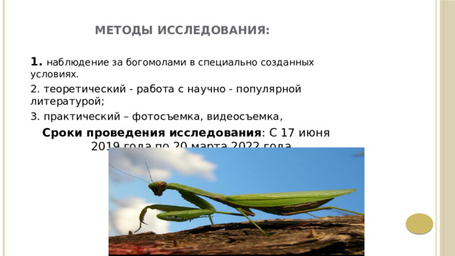  Методы исследования:    1. наблюдение за богомолами в специально созданных условиях. 2. теоретический - работа с научно - популярной литературой; 3. практический – фотосъемка, видеосъемка, Сроки проведения исследования : С 17 июня 2019 года по 20 марта 2022 года 
