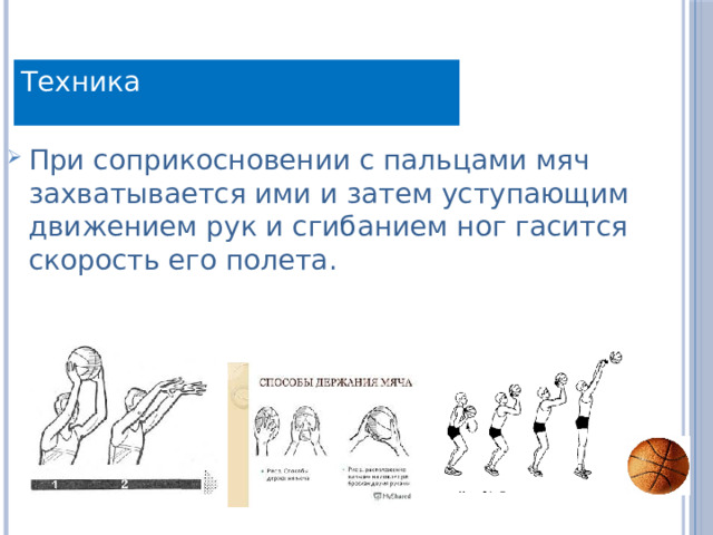 Техника При соприкосновении с пальцами мяч захватывается ими и затем уступающим движением рук и сгибанием ног гасится скорость его полета. 
