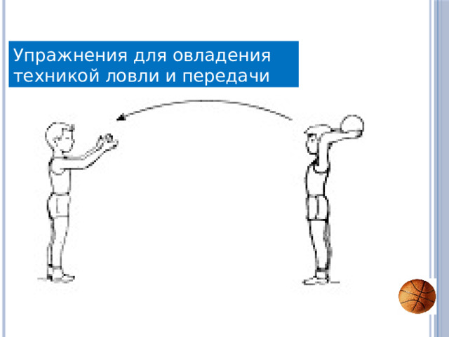 Упражнения для овладения техникой ловли и передачи мяча 