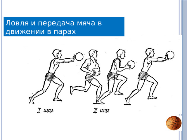 Ловля и передача мяча в движении в парах 
