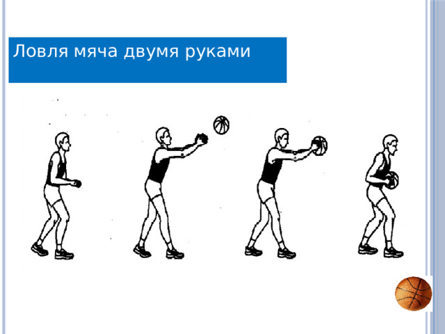 Ловля мяча двумя руками 