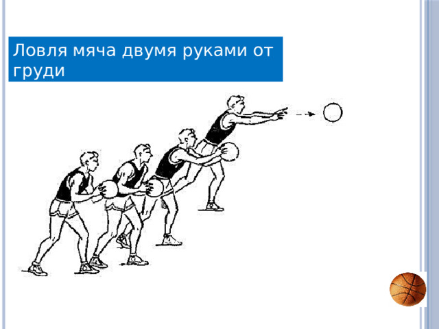 Ловля мяча двумя руками от груди 