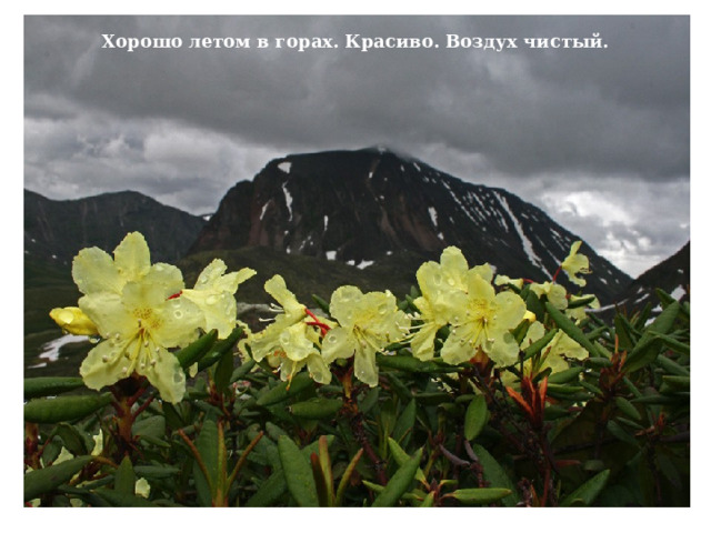 Хорошо летом в горах. Красиво. Воздух чистый. 