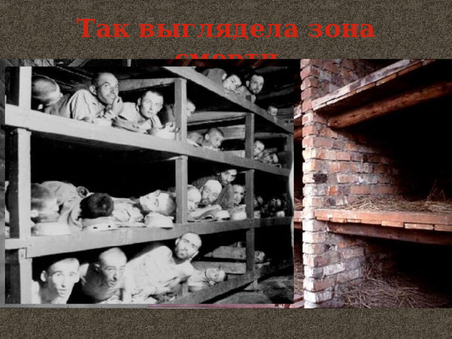 Так выглядела зона смерти 