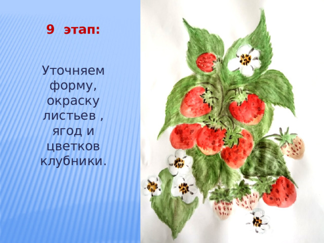 9 этап: Уточняем форму, окраску листьев , ягод и цветков клубники. 