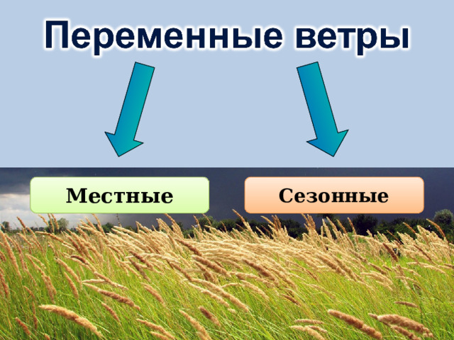 Местные Сезонные 