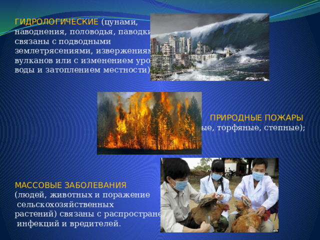 ГИДРОЛОГИЧЕСКИЕ  (цунами, наводнения, половодья, паводки) связаны с подводными землетрясениями, извержениями вулканов или с изменением уровня воды и затоплением местности); ПРИРОДНЫЕ ПОЖАРЫ (лесные, торфяные, степные); МАССОВЫЕ ЗАБОЛЕВАНИЯ (людей, животных и поражение  сельскохозяйственных растений) связаны с распространением  инфекций и вредителей. 