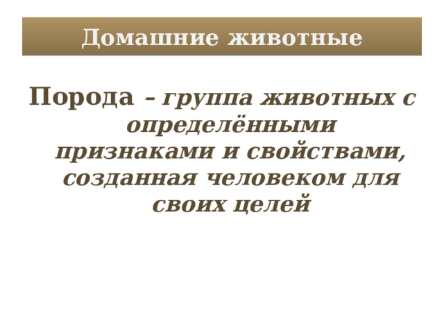 Домашние животные Порода – группа животных с определёнными признаками и свойствами, созданная человеком для своих целей 