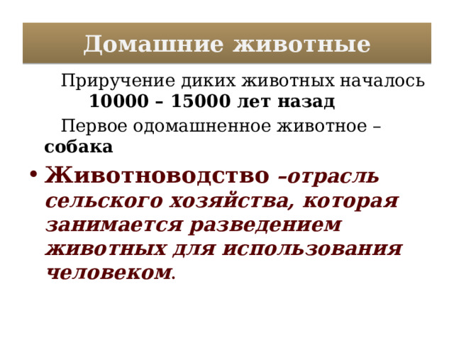 Домашние животные  Приручение диких животных началось 10000 – 15000 лет назад  Первое одомашненное животное – собака Животноводство  –отрасль сельского хозяйства, которая занимается разведением животных для использования человеком . 