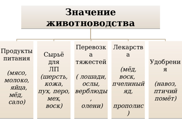 Значение животноводства Удобрения Лекарства Продукты питания Сырьё для (мёд, воск, (навоз, птичий ЛП (мясо, молоко, пчелиный яд, Перевозка помёт)  прополис)  яйца, мёд, тяжестей (шерсть, кожа , сало) пух, перо, мех ,  ( лошади, ослы, воск)  верблюды,  олени)   