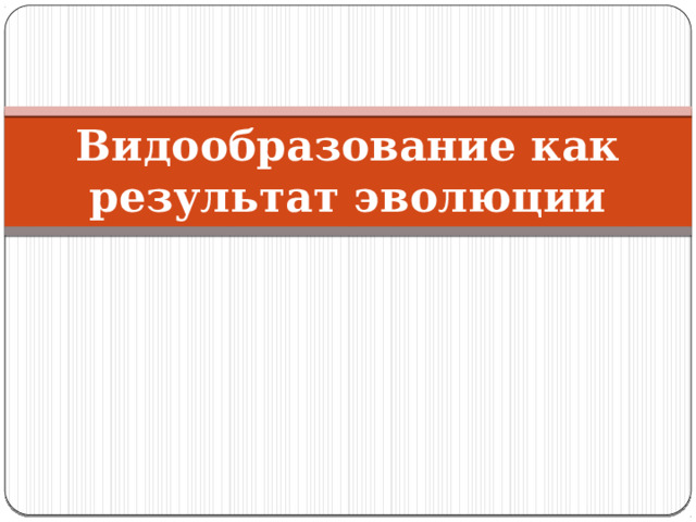 Видообразование как результат эволюции 