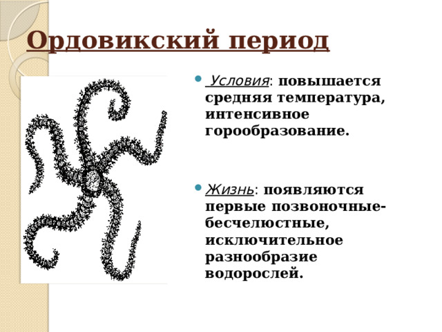 Ордовикский период  Условия : повышается средняя температура, интенсивное горообразование. Жизнь : появляются первые позвоночные- бесчелюстные, исключительное разнообразие водорослей. 