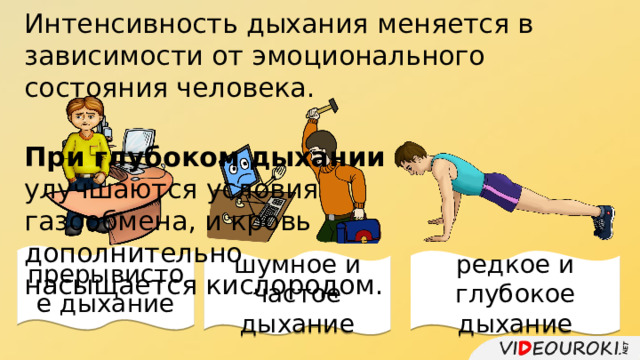 Интенсивность дыхания меняется в зависимости от эмоционального состояния человека. При глубоком дыхании улучшаются условия газообмена, и кровь дополнительно насыщается кислородом. прерывистое дыхание шумное и частое дыхание редкое и глубокое дыхание 
