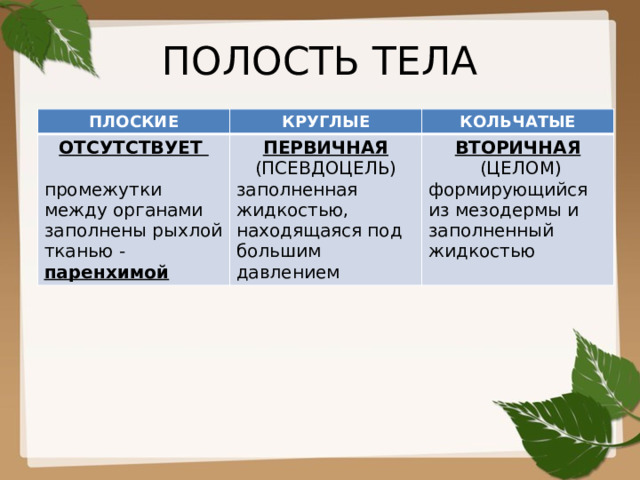 ПОЛОСТЬ ТЕЛА ПЛОСКИЕ КРУГЛЫЕ ОТСУТСТВУЕТ КОЛЬЧАТЫЕ  ПЕРВИЧНАЯ (ПСЕВДОЦЕЛЬ) заполненная жидкостью, находящаяся под большим давлением промежутки между органами заполнены рыхлой тканью - паренхимой ВТОРИЧНАЯ  (ЦЕЛОМ) формирующийся из мезодермы и заполненный жидкостью 