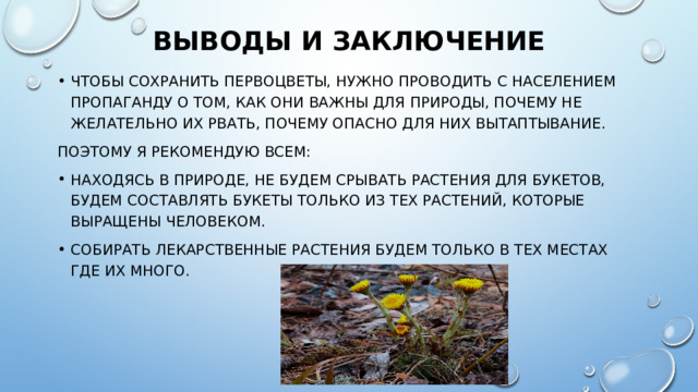 Выводы и заключение Чтобы сохранить первоцветы, нужно проводить с населением пропаганду о том, как они важны для природы, почему не желательно их рвать, почему опасно для них вытаптывание. Поэтому я рекомендую всем: Находясь в природе, не будем срывать растения для букетов, Будем составлять букеты только из тех растений, которые выращены человеком. Собирать лекарственные растения будем только в тех местах где их много. 