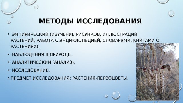 Методы исследования  эмпирический (изучение рисунков, иллюстраций растений, работа с энциклопедией, словарями, книгами о растениях),  наблюдения в природе,  аналитический (анализ),  исследование. Предмет исследования: растения-первоцветы. 