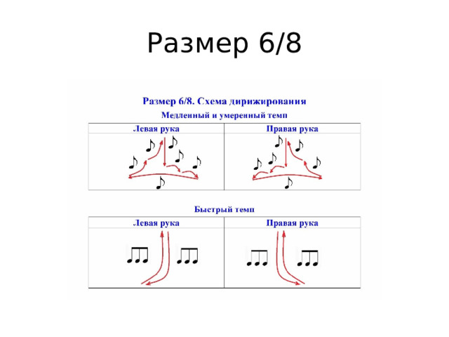 Размер 6/8 