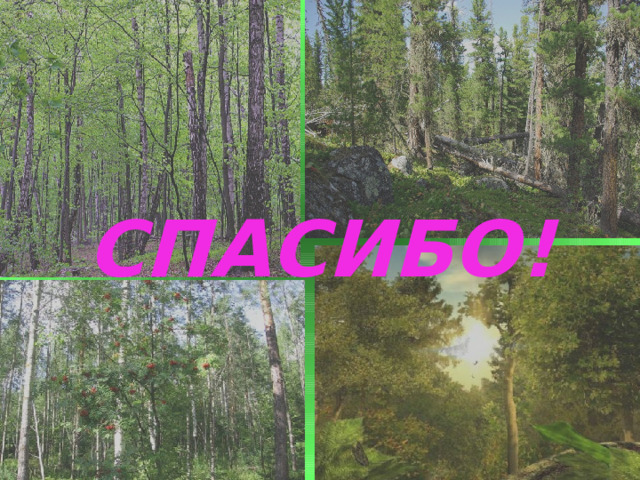СПАСИБО! 