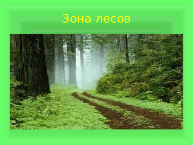 Зона лесов 