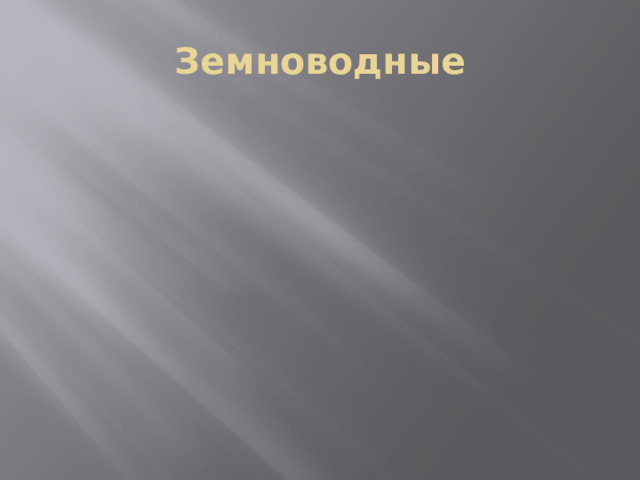 Земноводные 