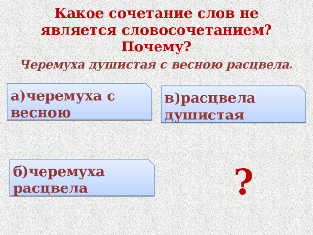 Какое сочетание слов не является словосочетанием? Почему? Черемуха душистая с весною расцвела.  ? а)черемуха с весною в)расцвела душистая б)черемуха расцвела 