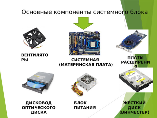  Основные компоненты системного блока вентиляторы Платы расширения Системная (материнская плата) Жесткий диск (винчестер) Блок питания Дисковод оптического диска 