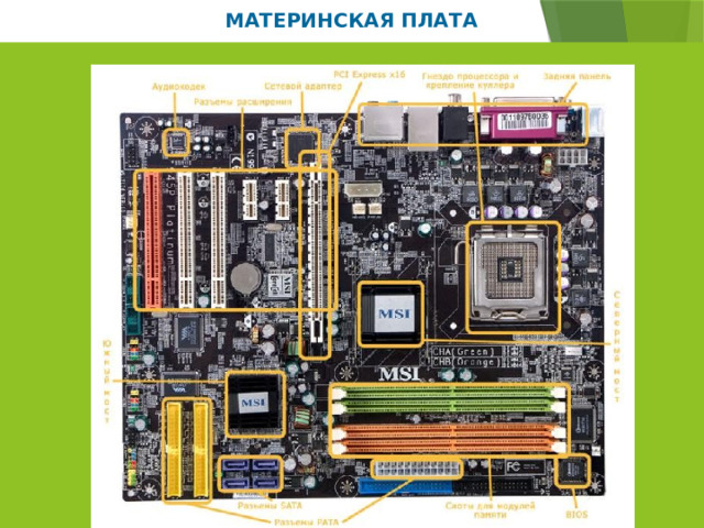 МАТЕРИНСКАЯ ПЛАТА 