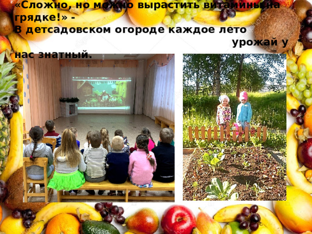 «Сложно, но можно вырастить витамины на грядке!» -  В детсадовском огороде каждое лето  урожай у нас знатный. 