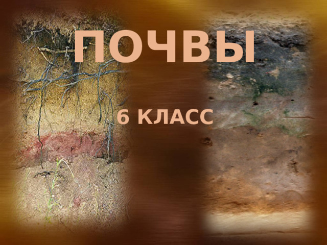 3/30/22  05:05 AM ПОЧВЫ 6 КЛАСС   © Корпорация Майкрософт (Microsoft Corporation), 2007. Все права защищены. Microsoft, Windows, Windows Vista и другие названия продуктов являются или могут являться зарегистрированными товарными знаками и/или товарными знаками в США и/или других странах.  Информация приведена в этом документе только в демонстрационных целях и не отражает точку зрения представителей корпорации Майкрософт на момент составления данной презентации. Поскольку корпорация Майкрософт вынуждена учитывать меняющиеся рыночные условия, она не гарантирует точность информации, указанной после составления этой презентации, а также не берет на себя подобной обязанности.  КОРПОРАЦИЯ МАЙКРОСОФТ НЕ ДАЕТ НИКАКИХ ЯВНЫХ, ПОДРАЗУМЕВАЕМЫХ ИЛИ ЗАКРЕПЛЕННЫХ ЗАКОНОДАТЕЛЬСТВОМ ГАРАНТИЙ В ОТНОШЕНИИ СВЕДЕНИЙ ИЗ ЭТОЙ ПРЕЗЕНТАЦИИ. 