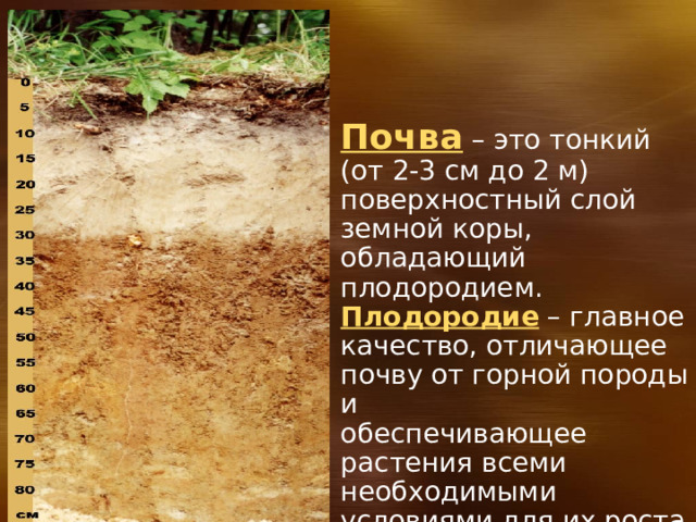 Почва – это тонкий (от 2-3 см до 2 м) поверхностный слой земной коры, обладающий плодородием. Плодородие – главное качество, отличающее почву от горной породы и обеспечивающее растения всеми необходимыми условиями для их роста. 