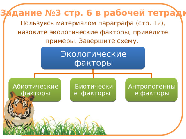 м Задание №3 стр. 6 в рабочей тетради Пользуясь материалом параграфа (стр. 12), назовите экологические факторы, приведите примеры. Завершите схему. Экологические факторы Экологические факторы Абиотические факторы Биотические факторы Антропогенные факторы 