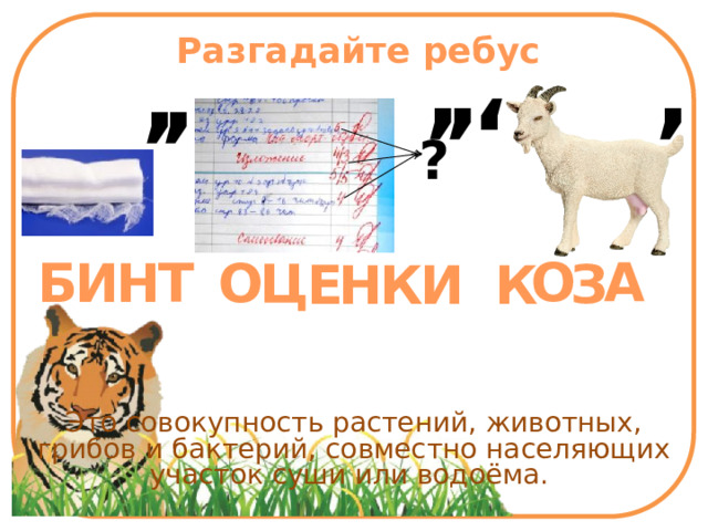 Разгадайте ребус , , , , , , ? А О Т Н Б И О Ц З Е Н К И К Это совокупность растений, животных, грибов и бактерий, совместно населяющих участок суши или водоёма.  