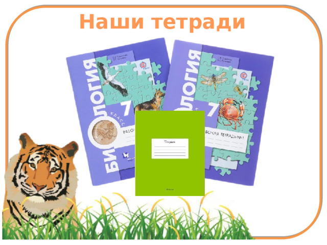 Наши тетради 