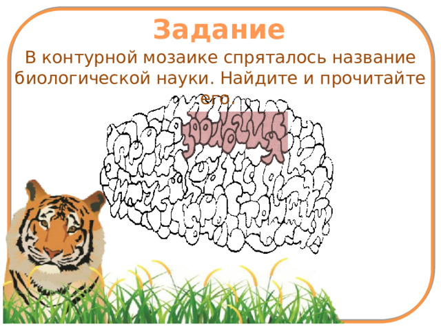 Задание В контурной мозаике спряталось название биологической науки. Найдите и прочитайте его. 