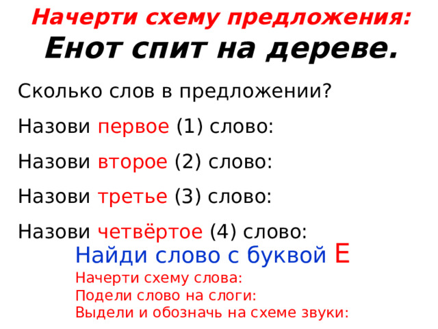 Начерти схему предложения: Енот спит на дереве.  Сколько слов в предложении? Назови первое (1) слово: Назови второе (2) слово: Назови третье (3) слово: Назови четвёртое (4) слово: Найди слово с буквой Е Начерти схему слова: Подели слово на слоги: Выдели и обозначь на схеме звуки: 