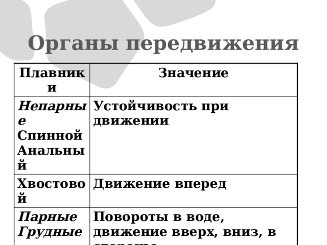 Органы передвижения Плавники Значение Непарные  Спинной Устойчивость при движении Хвостовой Анальный Движение вперед Парные Грудные Повороты в воде, движение вверх, вниз, в стороны Брюшные Равновесие, удерживают в вертикальном положении 